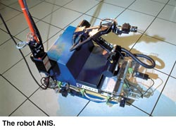 The Robot Anis