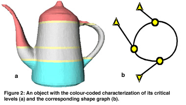 Figure 2: An object with the colour-coded characterization of its critical levels (a) and the corresponding shape graph (b).