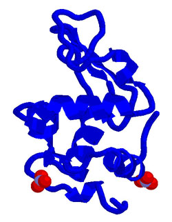 Structure of a human lysozyme mutation.