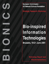 Bionics workshop proceedings