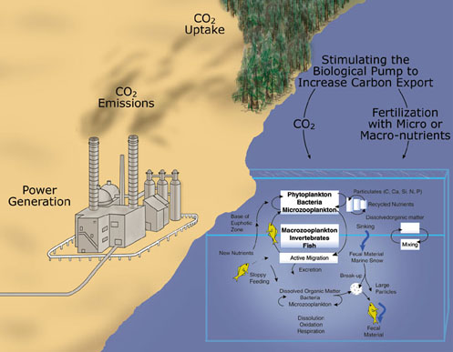 CO2 is emitted into the atmosphere by several sources. Uptake of CO2 by the ocean is enhanced through stimulation by fertilizers of the Biological Pump. Source: DOE Center for Research on Ocean Carbon Sequestration.