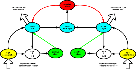 A scheme of a cogitoid.