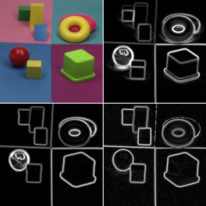 Figure 1: Invariants for color separating shadow (b), highlights (c), and true object contours (d) from all contours (a). 