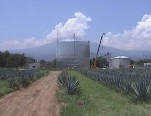 Anaerobic digester at industrial scale (Sauza, Mexico).