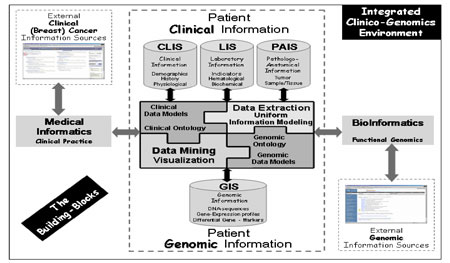 Figure 2: General layout of the Integrated Clinico-Genomics Information Technology Environment.