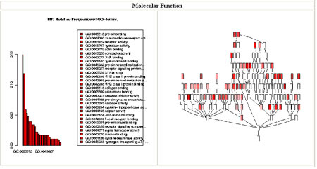 Figure1