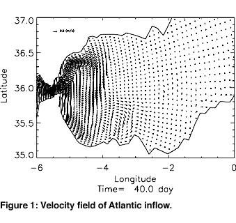 Figure 1: Velocity field of Atlantic inflow
