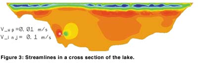 Streamlines in a cross section of the lake