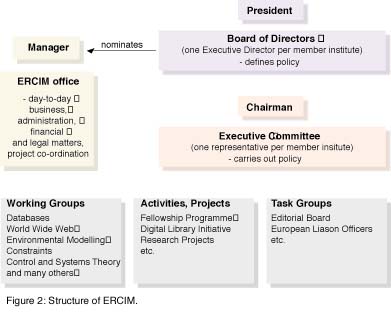 structure of ERCIM