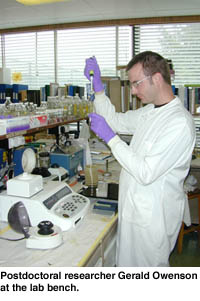 Postdoctoral researcher Gerald Owenson at the lab bench.