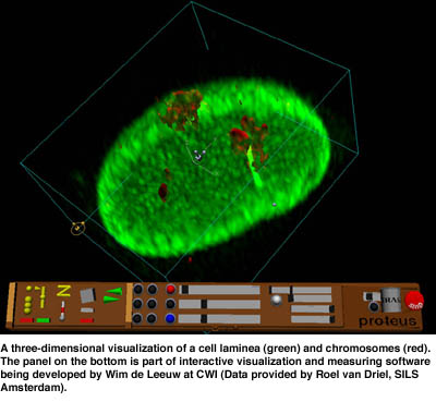 A three-dimensional visualization of a cell laminea (green) and chromosomes (red). The panel on the bottom is part of interactive visualization and measuring software being developed by Wim de Leeuw at CWI (Data provided by Roel van Driel, SILS Amsterdam).