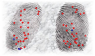 A fingerprint template.