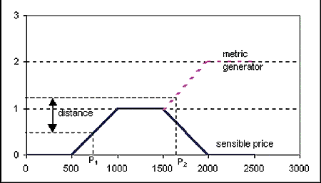Metric generation from linguistic variables. 