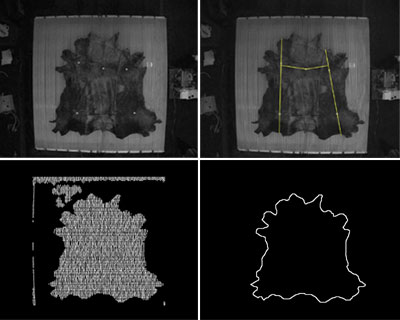 Figure 2: a) The input image; b) Cutting lines; c)  detection of inside points; d) contour.
