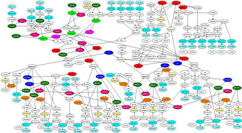 Figure 2: Digester Fiber-line. Figure 2: An example of a Bayesian Network for root cause analysis of process operation.