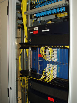 Apart from computing services, users may want to provision dedicated network services at the same time.