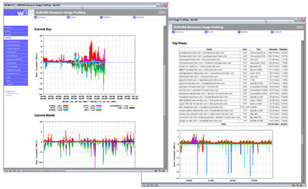 Sample reports of the traffic profiling system.