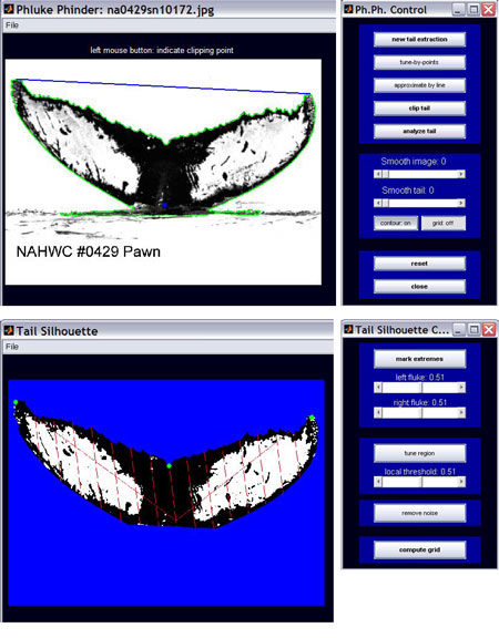 A User Interface generated by the authoring environment.