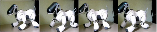Figure 2: Aibo walking sequence.