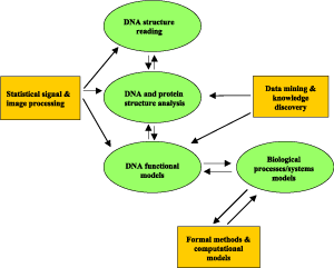 Computational Biology at ISTI-CNR.