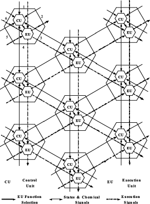 Figure 2: Connections between cells.