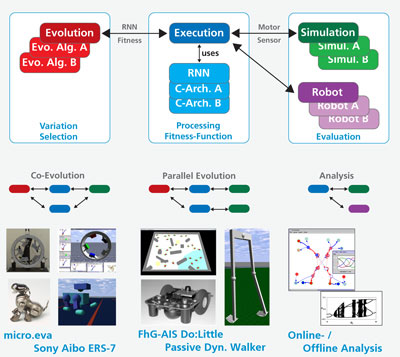 Evolution environment.